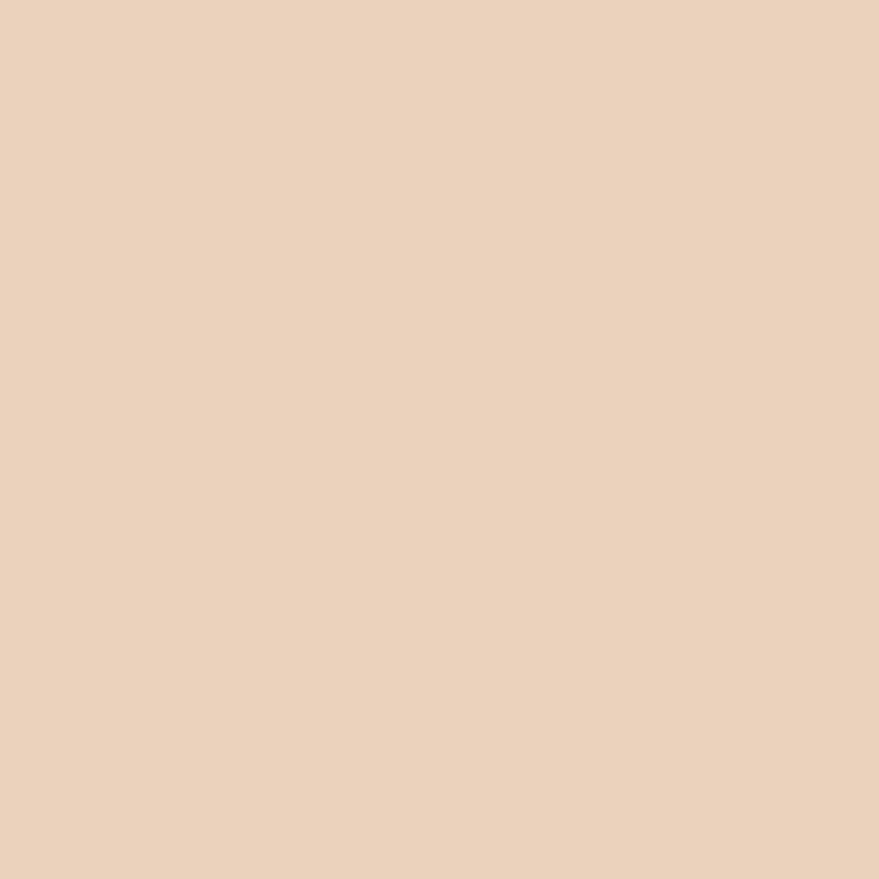 ColorSealant acrylaatkit