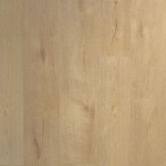 Praktische Plank Sprits | Douwes Dekker | Dryback Plak PVC per m2