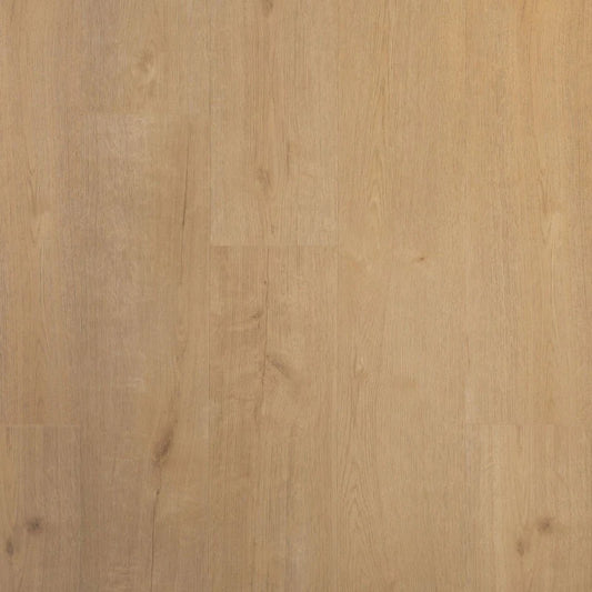 Praktische Plank Biscuit | Douwes Dekker | Dryback Plak PVC per m2